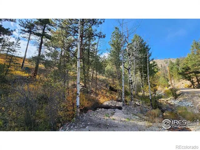 84 Copper Hill Road Glen Haven, CO 80532