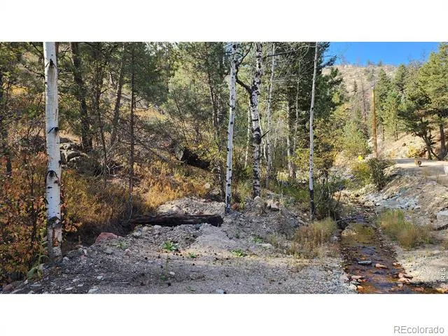 84 Copper Hill Road Glen Haven, CO 80532
