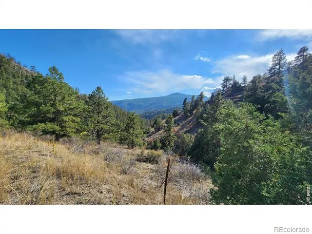 84 Copper Hill Road Glen Haven, CO 80532