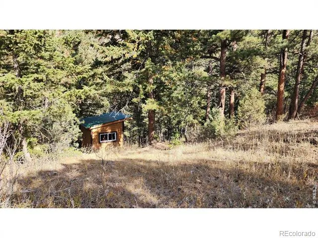 84 Copper Hill Road Glen Haven, CO 80532
