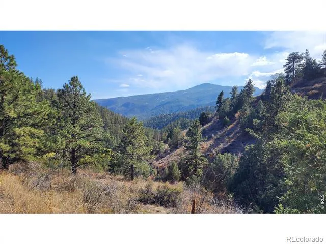 84 Copper Hill Road Glen Haven, CO 80532
