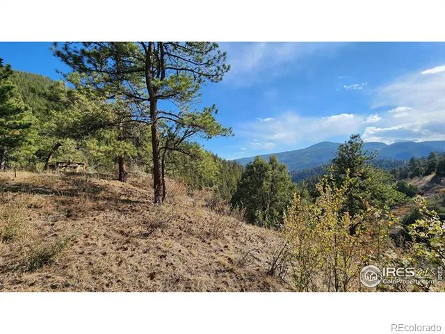 84 Copper Hill Road Glen Haven, CO 80532
