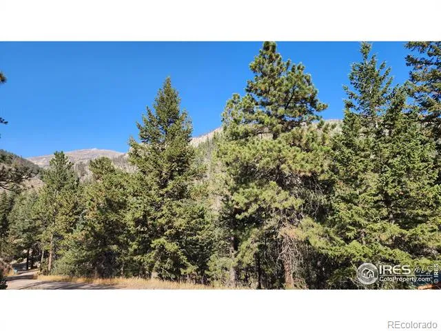 84 Copper Hill Road Glen Haven, CO 80532