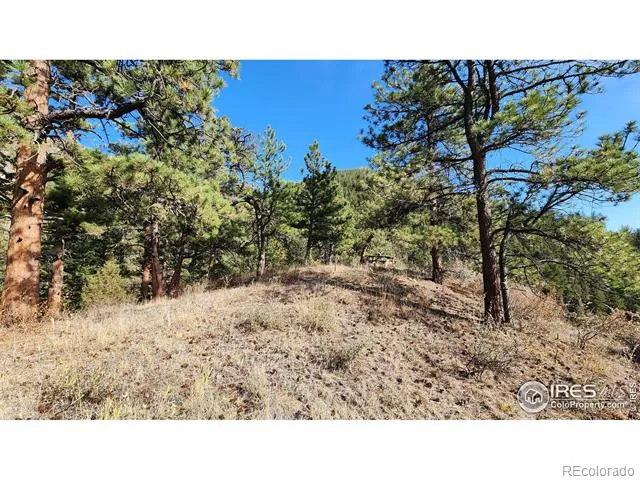84 Copper Hill Road Glen Haven, CO 80532