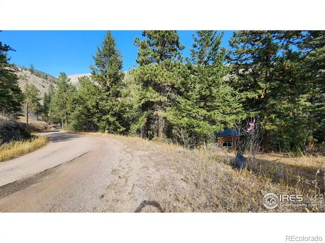 84 Copper Hill Road Glen Haven, CO 80532