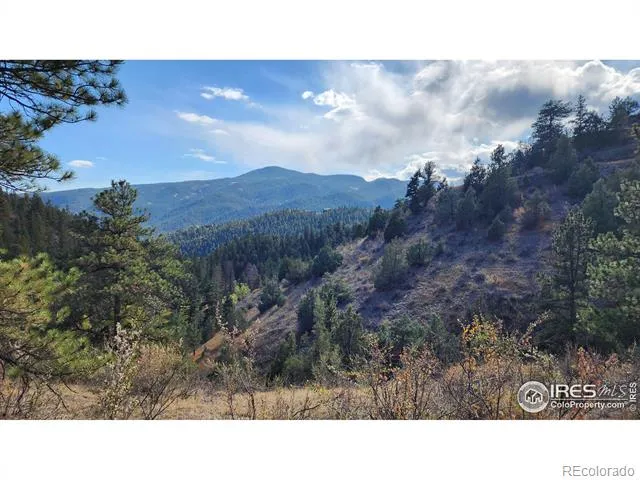 84 Copper Hill Road Glen Haven, CO 80532