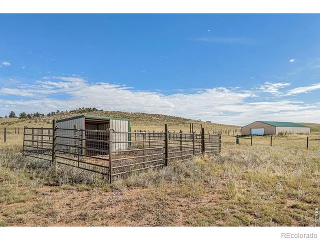 2052 Great Twins Road Livermore, CO 80536