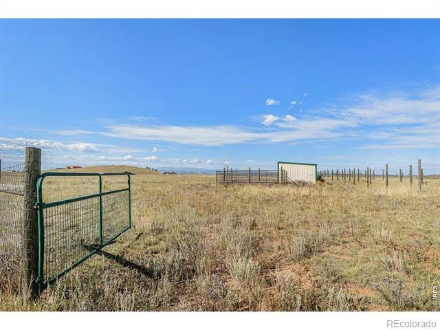 2052 Great Twins Road Livermore, CO 80536