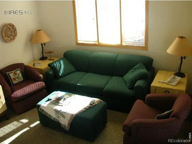 1565 Highway 66 #27 Estes Park, CO 80517