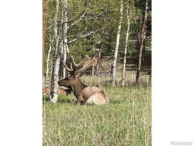 1565 Highway 66 #27 Estes Park, CO 80517