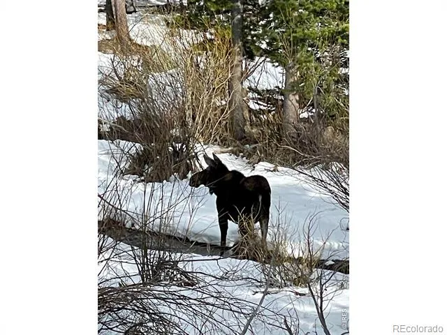 1565 Highway 66 #27 Estes Park, CO 80517