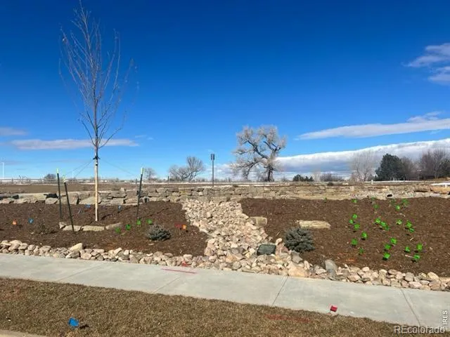 938 Langdale Drive Fort Collins, CO 80526