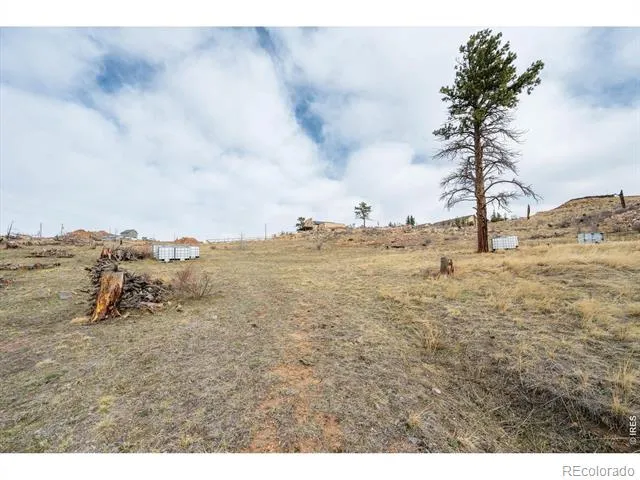107 Mount Audubon Way Livermore, CO 80536