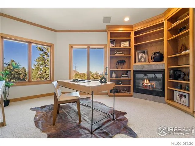 20682 Falcon Wing Road Indian Hills, CO 80454