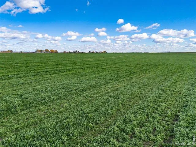 14805 County Road 12 Fort Morgan, CO 80701