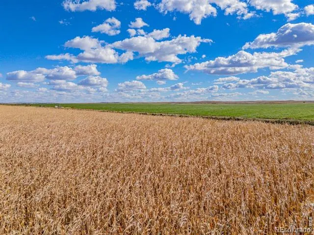 14805 County Road 12 Fort Morgan, CO 80701