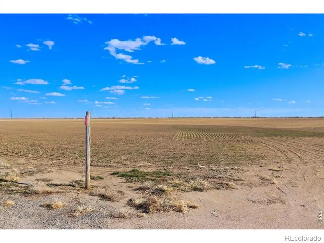 3699 County Road 5 Wiggins, CO 80654