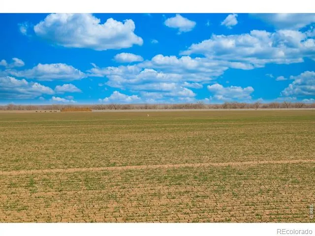 3699 County Road 5 Wiggins, CO 80654