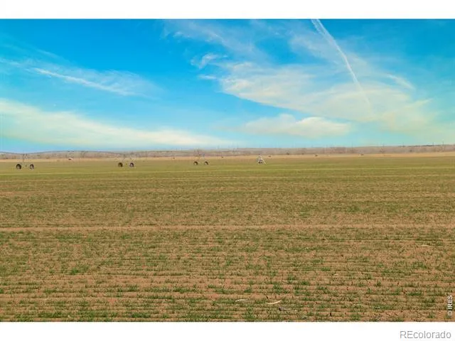 3699 County Road 5 Wiggins, CO 80654