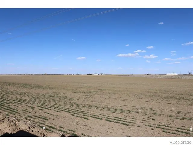 3699 County Road 5 Wiggins, CO 80654