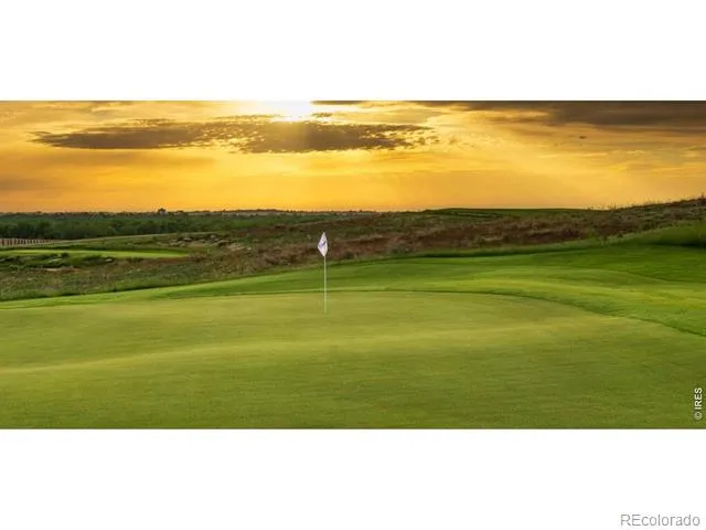 1826 Frost Drive Windsor, CO 80550