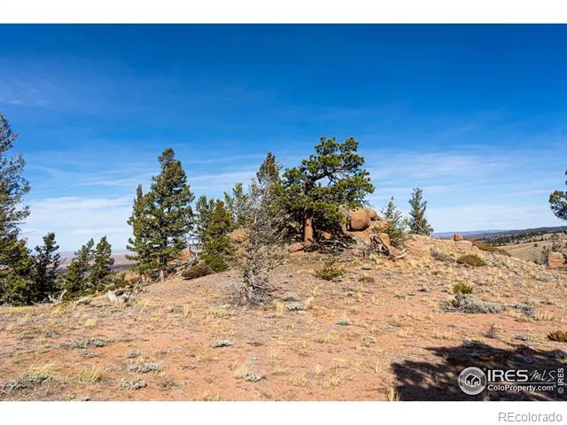 0 Wilderness Ranch Road Red Feather Lakes, CO 80545