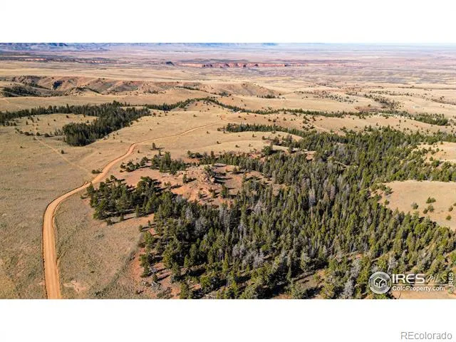 0 Wilderness Ranch Road Red Feather Lakes, CO 80545