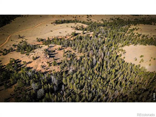 0 Wilderness Ranch Road Red Feather Lakes, CO 80545