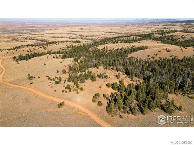 0 Wilderness Ranch Road Red Feather Lakes, CO 80545