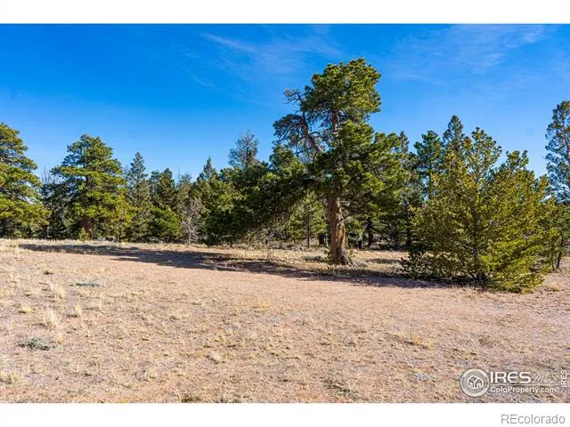 0 Wilderness Ranch Road Red Feather Lakes, CO 80545