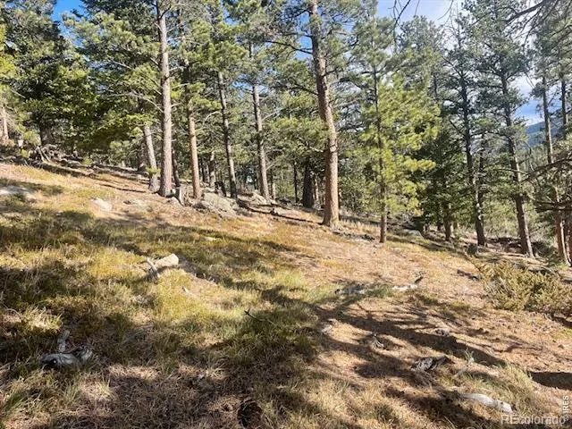 399 Skinner Road Allenspark, CO 80510