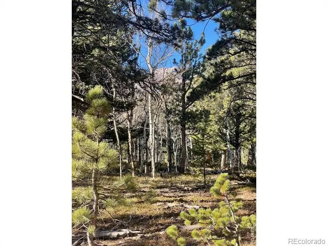 399 Skinner Road Allenspark, CO 80510