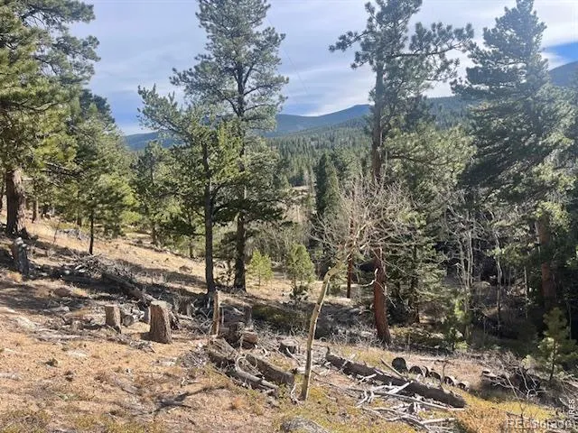 399 Skinner Road Allenspark, CO 80510