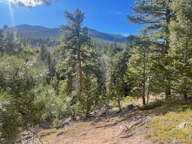 399 Skinner Road Allenspark, CO 80510
