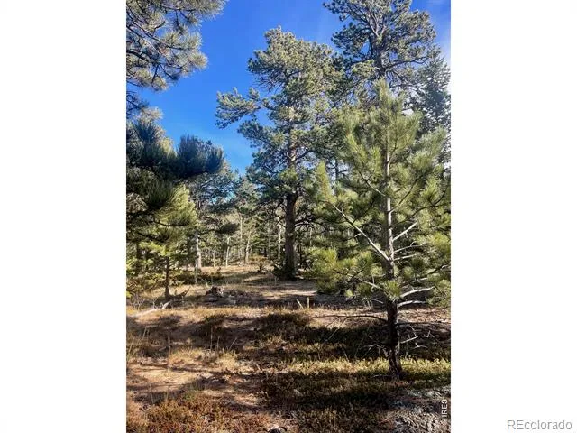 399 Skinner Road Allenspark, CO 80510