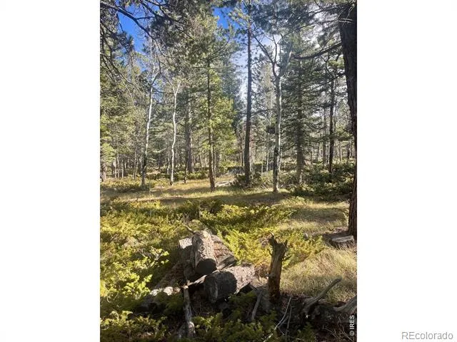 399 Skinner Road Allenspark, CO 80510