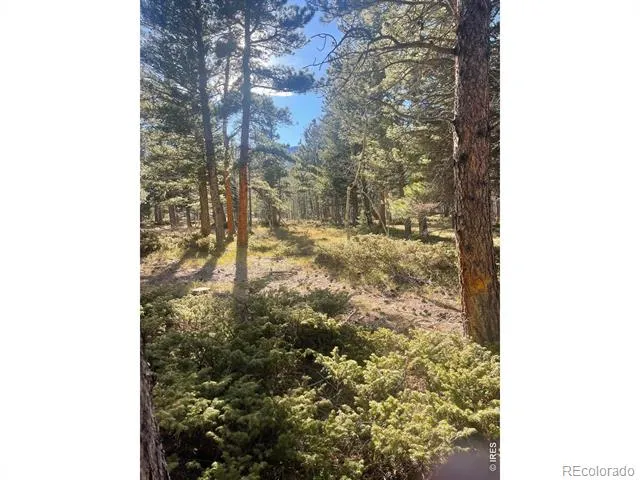 399 Skinner Road Allenspark, CO 80510