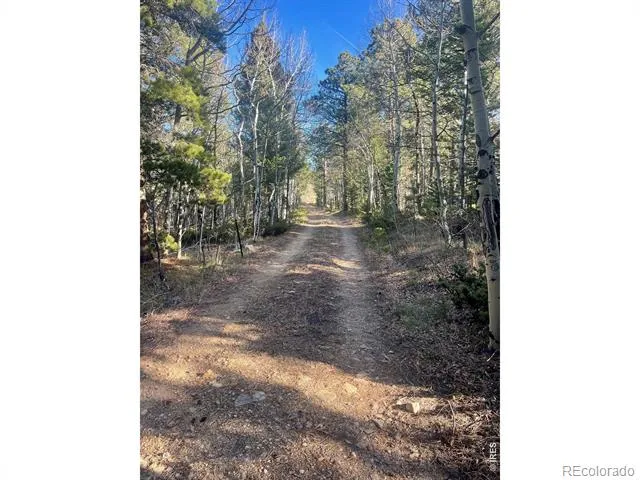 399 Skinner Road Allenspark, CO 80510