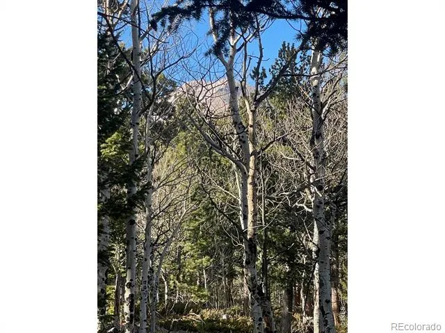 399 Skinner Road Allenspark, CO 80510