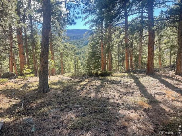 399 Skinner Road Allenspark, CO 80510