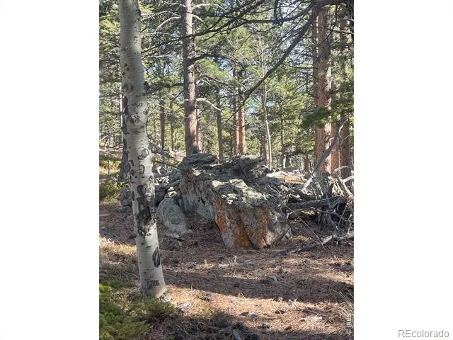 399 Skinner Road Allenspark, CO 80510