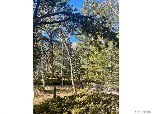 399 Skinner Road Allenspark, CO 80510