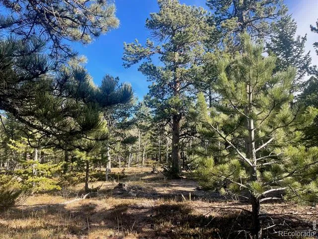399 Skinner Road Allenspark, CO 80510