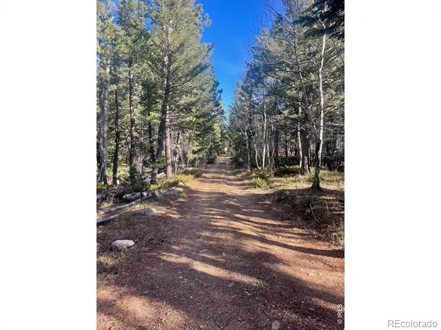 399 Skinner Road Allenspark, CO 80510