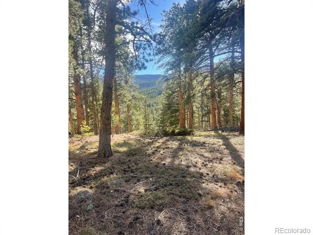399 Skinner Road Allenspark, CO 80510