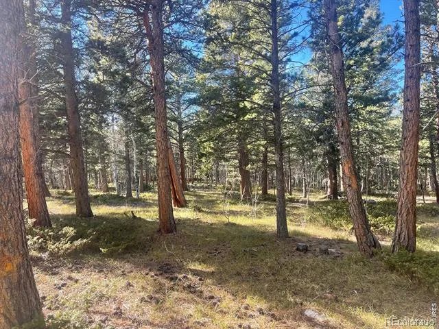 399 Skinner Road Allenspark, CO 80510