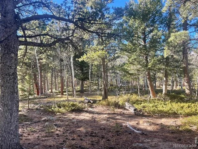 399 Skinner Road Allenspark, CO 80510