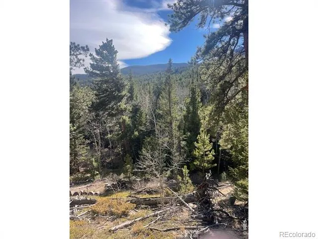 399 Skinner Road Allenspark, CO 80510