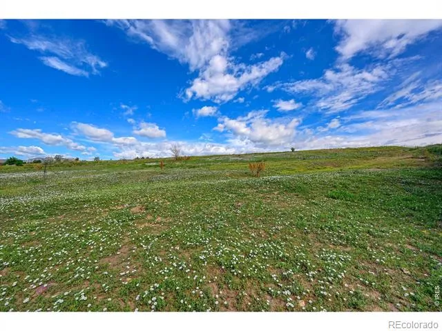 7171 Marshall Drive Boulder, CO 80303