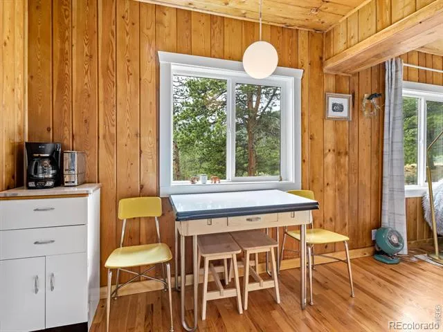 270 E Ski Road Allenspark, CO 80510